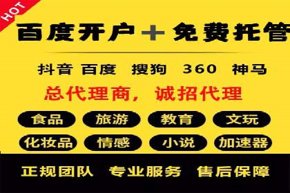 SEM托管成功案例：揭秘高效广告投放策略
